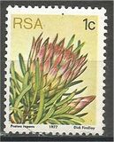 [Flora - Protea Plants, tyyppi PG]