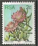 [Flora - Protea Plants, tyyppi PH]