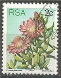 [Flora - Protea Plants, tyyppi PH]