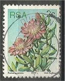 [Flora - Protea Plants, tyyppi PH]