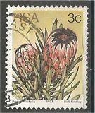 [Flora - Protea Plants, tyyppi PI]