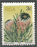 [Flora - Protea Plants, tyyppi PI]
