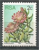 [Flora - Protea Plants, tyyppi PH]