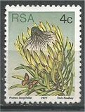 [Flora - Protea Plants, tyyppi PJ]