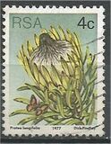 [Flora - Protea Plants, tyyppi PJ]