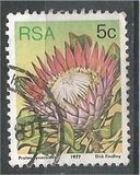 [Flora - Protea Plants, tyyppi PK]
