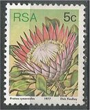[Flora - Protea Plants, tyyppi PK]