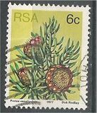 [Flora - Protea Plants, tyyppi PL]