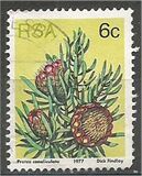 [Flora - Protea Plants, tyyppi PL]