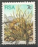 [Flora - Protea Plants, tyyppi PM]