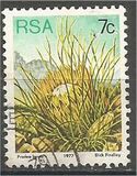 [Flora - Protea Plants, tyyppi PM]