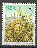 [Flora - Protea Plants, tyyppi PM]