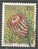 [Flora - Protea Plants, tyyppi PP]