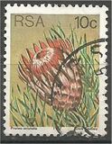 [Flora - Protea Plants, tyyppi PP]