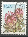 [Flora - Protea Plants, tyyppi PQ]