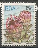 [Flora - Protea Plants, tyyppi PQ]