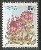 [Flora - Protea Plants, tyyppi PQ]