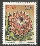 [Flora - Protea Plants, tyyppi PR]