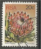 [Flora - Protea Plants, tyyppi PR]