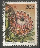 [Flora - Protea Plants, type PR]