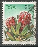 [Flora - Protea Plants, type PS]