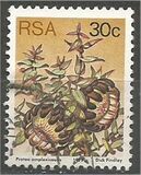 [Flora - Protea Plants, type PT]