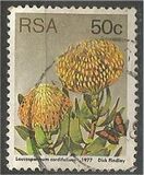 [Flora - Protea Plants, type PU]