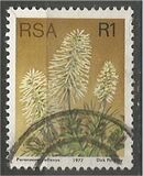 [Flora - Protea Plants, type PV]