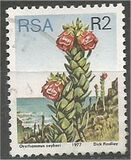 [Flora - Protea Plants, type PW]