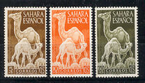 [Stamp Day, 类型 R]