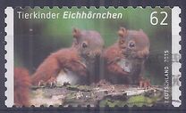 [Baby Animals, type DBI]