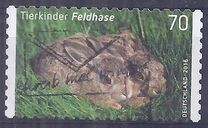 [Baby Animals, type DDX]