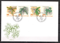 [Ferns, Вид AKL]