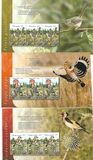 [Birds of Israel, Tip BWW]