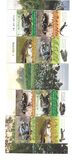 [Amphibians in Israel, тип CHN]