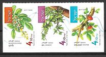 [Flora - Aromatic Plants, 类型 DLZ]