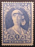 [The struggle against Tuberculosis, type DZ5]