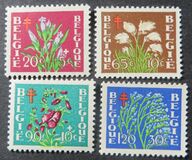 [Plants - The struggle against Tuberculosis, тып PO]