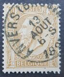 [King Leopold II, වර්ගය Y]