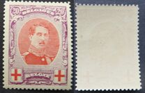 [Red Cross Charity, տեսակ AY4]