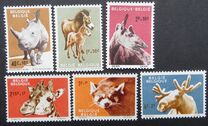 [Animals from Antwerp zoo, type ZL]