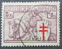 [The struggle against Tuberculosis, type FE6]