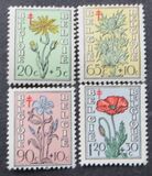 [Flowering Plants - The Struggle against Tuberculosis, type OV]