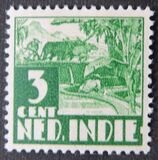 [Rice Field & Queen Wilhelmina - Watermarked, type AI12]