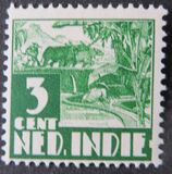 [Rice Field & Queen Wilhelmina - Watermarked, type AI12]