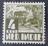 [Rice Field & Queen Wilhelmina - Watermarked, type AI13]