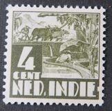 [Rice Field & Queen Wilhelmina - Watermarked, type AI13]