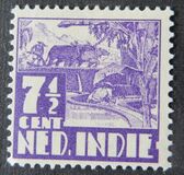 [Rice Field & Queen Wilhelmina - Watermarked, type AI15]