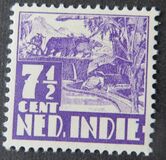 [Rice Field & Queen Wilhelmina - Watermarked, type AI15]