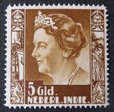 [Queen Wilhelmina - Watermarked, Tip AK11]